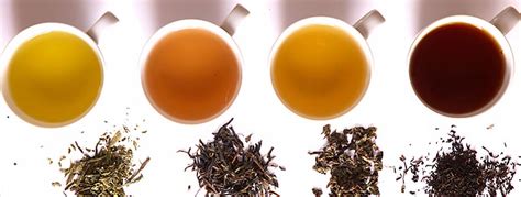 A Guide To Types Of Tea The Epicentre