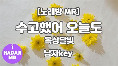 하다지노래방 옥상달빛 수고했어 오늘도 Mr E G 남자key 하다지mr Youtube