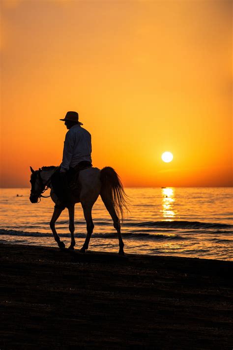 Horse riding tour - Sunset - Just Ask Josh!