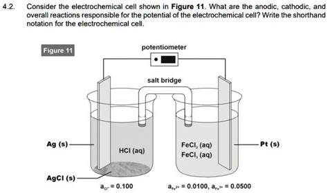 Solved Consider The Electrochemical Cell Shown In Figure