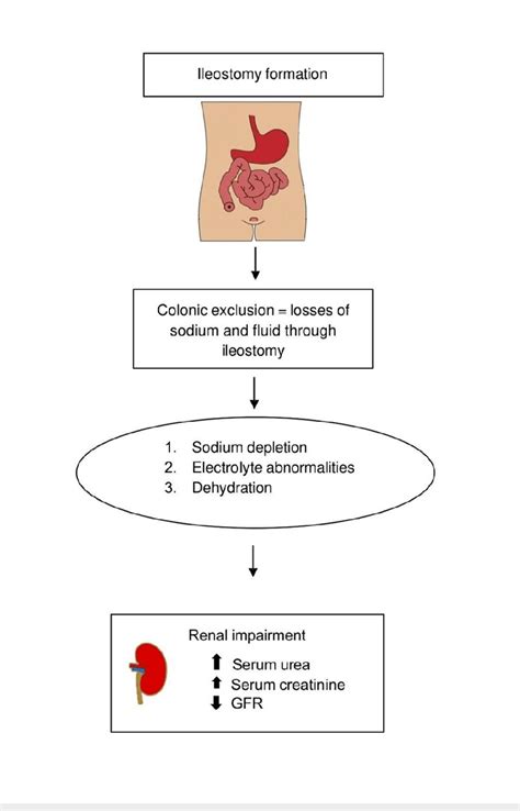 The Consequences Of A Diverting Ileostomy Formation On Fluid And