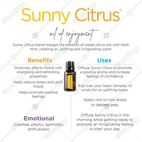 Doterra Bogo Island Mint Sunny Citrus First Come First Serve