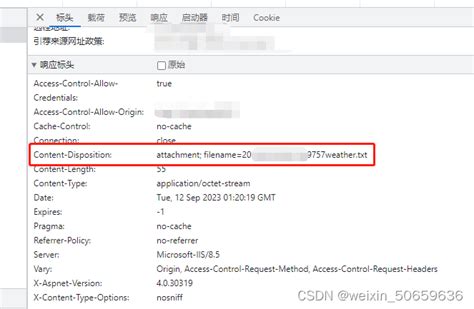 Axios Headers Content Disposition Weixin