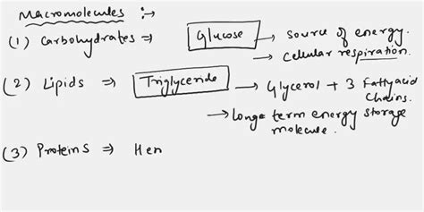 SOLVED: Give an example of each type of macromolecule.