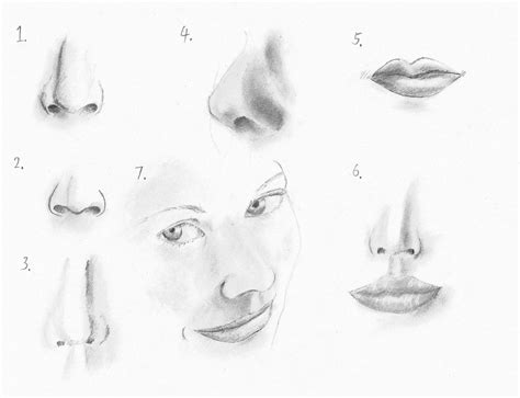 Female Nose Sketch At Paintingvalley Explore Collection Of Female