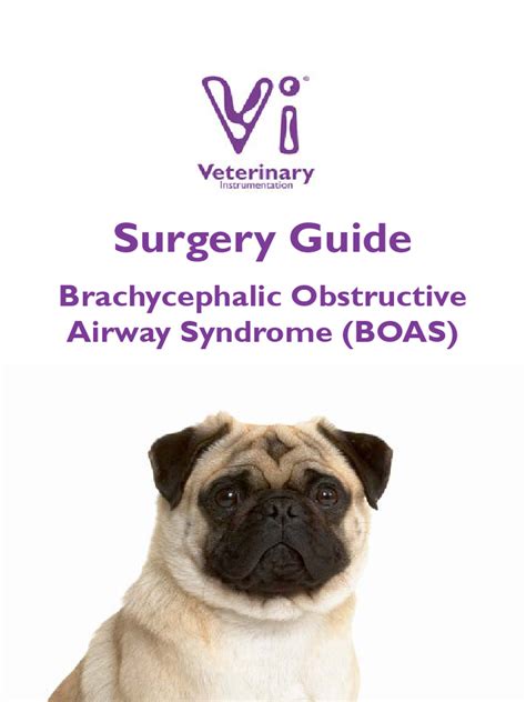 Boas Surgery Guide February 2024 Issue 1 Digital Pdf Clinical