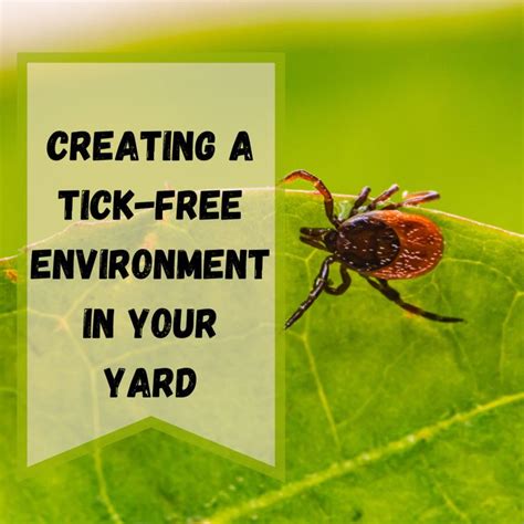 Creating A Tick Free Yard Tips And Tricks