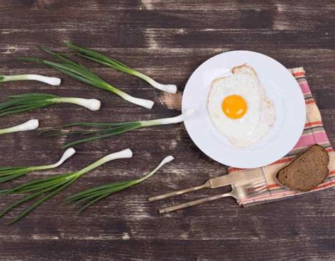 Alimentos Para Mejorar La Calidad Del Esperma Todo Lo Que Debes Saber