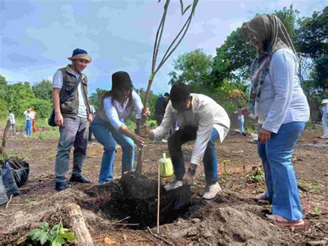 InfoPublik Abnon Tanam Puluhan Bibit Pohon Mangga Di Pulau Tidung Kecil