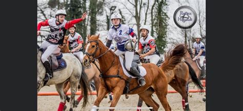 Amateur Mixte Haras De Chambly