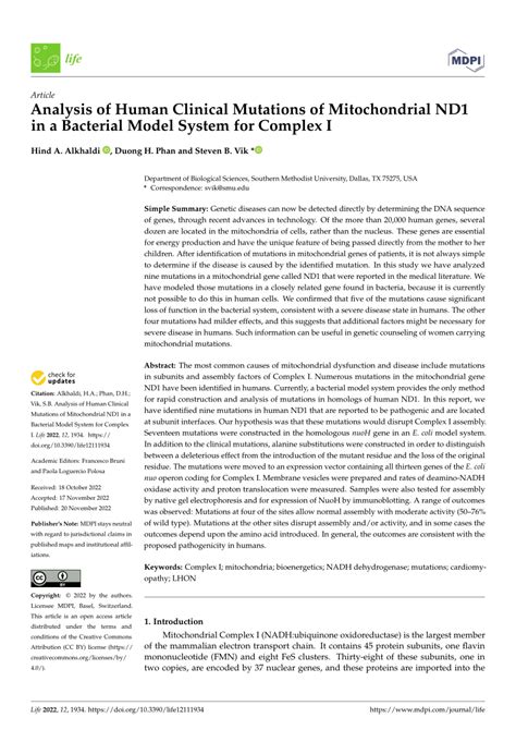 Pdf Analysis Of Human Clinical Mutations Of Mitochondrial Nd In A