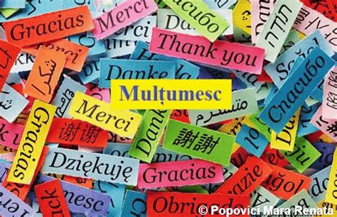 Multumesc Grazzie Gracias Danke Merci Thank you on Make a GIF