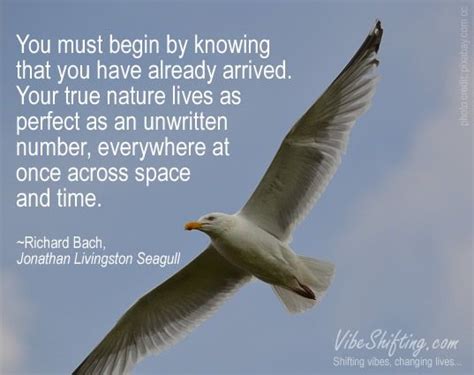 Jonathan Livingston Seagull Quotes. QuotesGram