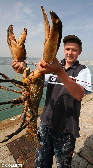 Cracking Couple Net Biggest Lobster Caught Off British Waters For 80