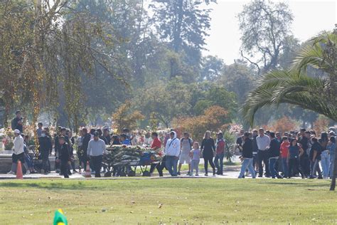 La implementación del plan Calle Sin Violencia y el funeral narco en