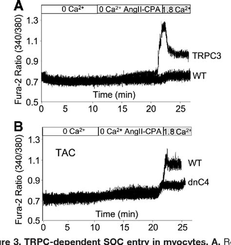 Figure From Trpc Channels As Effectors Of Cardiac Hypertrophy