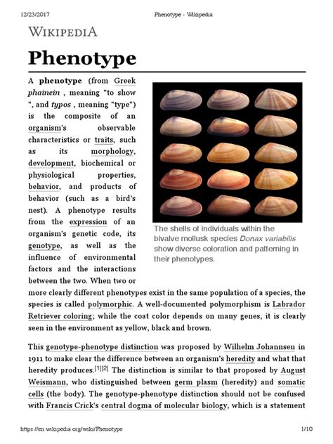 Phenotype | Phenotype | Organisms