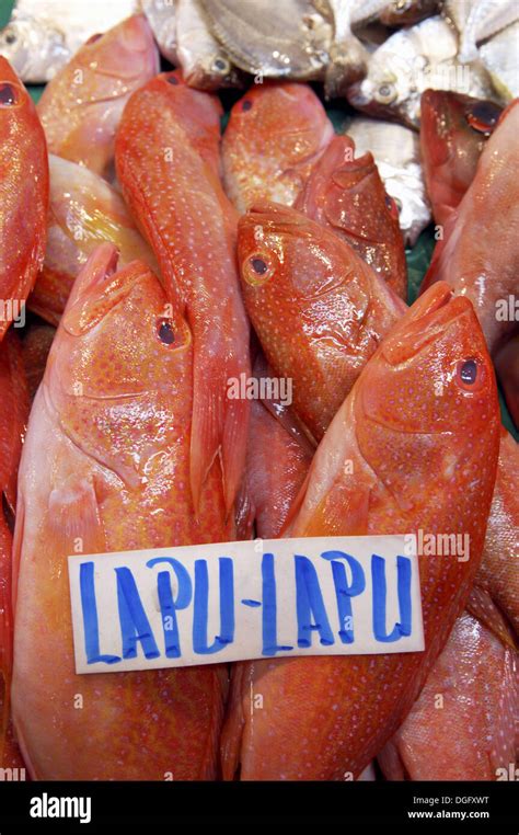 Lapu lapu, a delicately flavoured fish. Farmers market. Manila ...