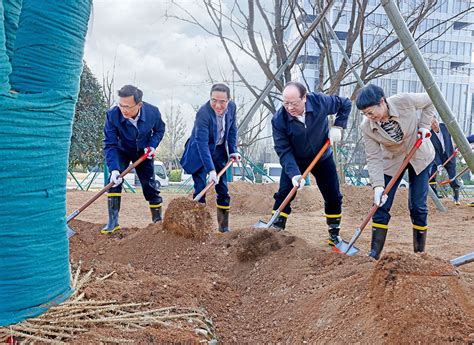 悉心浇灌雨露 厚植成长沃土 市领导与专家人才开展义务植树活动