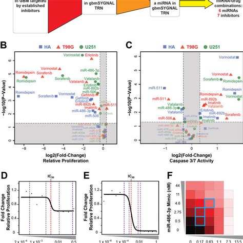 The SYstems Genetics Network AnaLysis SYGNAL Pipeline And The