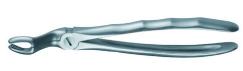 The Different Types Of Dental Forceps And What They Are Used For