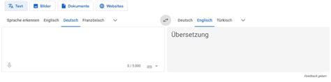 Google Übersetzer Deutsch Englisch Online