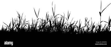 Grass Silhouette Black Stock Vector Image And Art Alamy