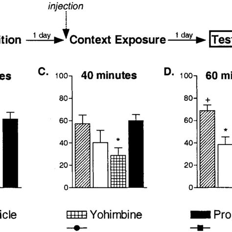 Yohimbine Facilitates Extinction Of Cue And Context Fear Acutely Download Scientific Diagram