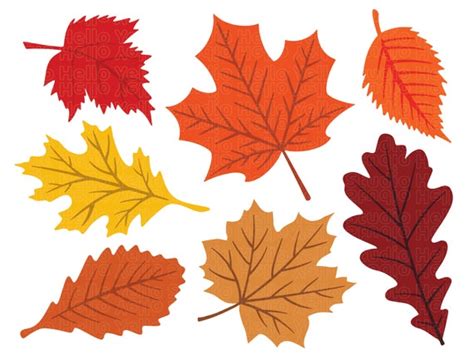 Fall Leaves Svg Fall Svg Fall Leaf Svg Bundle Fall Png - Etsy Canada