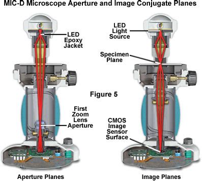 Molecular Expressions Science Optics You Olympus Mic D Anatomy