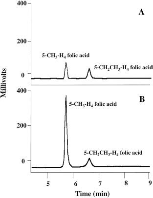 Conversion Of Formyltetrahydrofolic Acid To Methyltetrahydrofolic