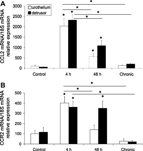 Expression And Function Of Ccl Ccr In Rat Micturition Reflexes And