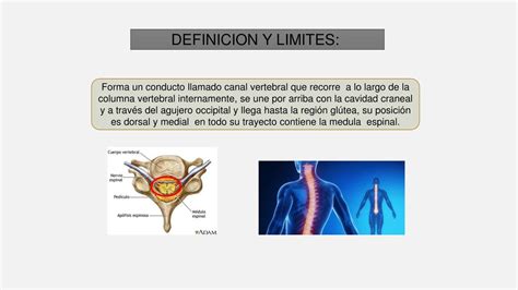 Cavidades Corporales Darlyn Paredes Udocz