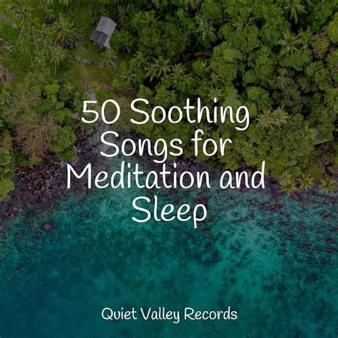 Play Soothing Songs For Meditation And Sleep By Naturaleza Sonidos