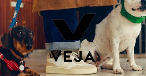 Veja Sneaker Review Was Steckt Hinter Dem Hype Grailify