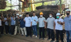 Tingkatkan Produktivitas Empat Pabrik Gula PTPN X Resmi Mulai Giling