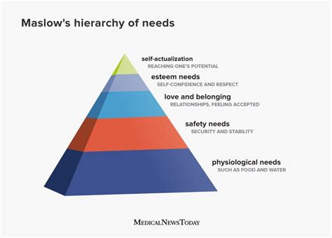 Maslows Hierarchy Of Needs Pyramid Uses And Criticism Maslows