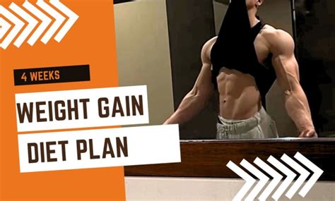 Make You A Customized Weight Gain Diet Plan By Moizkhann Fiverr