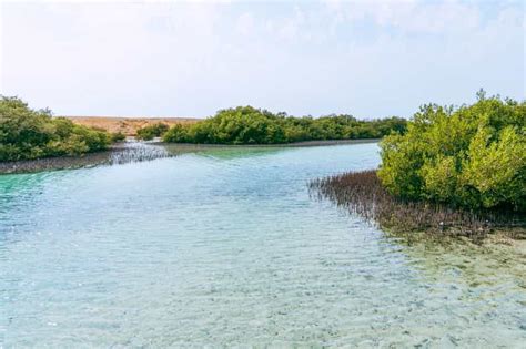 Sharm El Sheikh Ras Mohammed Park En Magic Lake Dagtour GetYourGuide