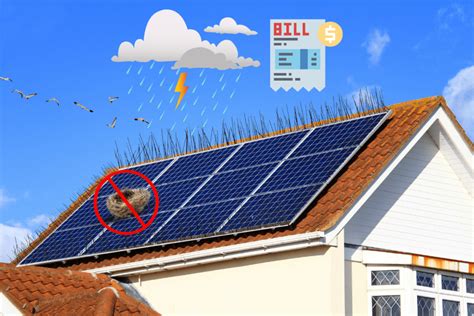 Most Common Solar Panel Problems With Solutions Energy Theory