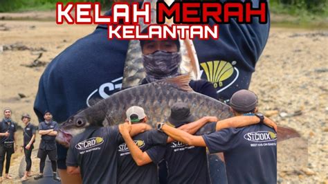 Ikan Kelah Merah Sungai Ulu Lebir Kelantan Youtube