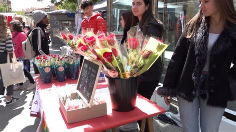 Especial Sant Jordi A Vic Sant Juli De Vilatorta Moi I Gurb