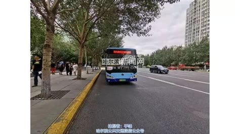 公交新车上线！商务公交2号线区间、209路新车上澎湃号·政务澎湃新闻 The Paper