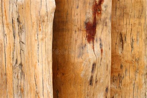 Row Of Teak Wood Timber Stock Image Image Of Fashion 92089763