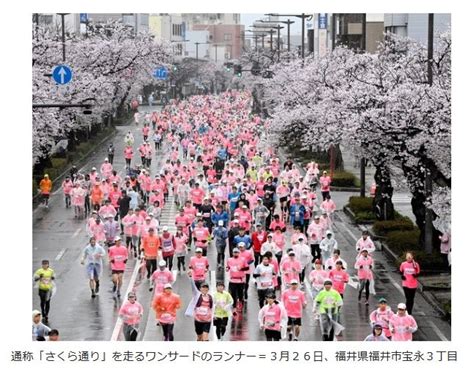 ふくい桜マラソン トライアルラン それでも生きていく