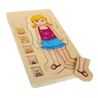 Puzzle En Bois Plusieurs Couches Anatomie Enfants Ans Le Corps