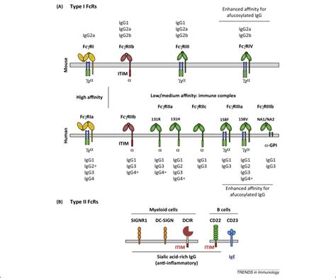 Large Image Of Figure 1