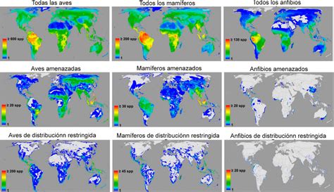 5 Ejemplo De Mapas De Biodiversidad En Formato Ráster Se Muestran Download Scientific Diagram