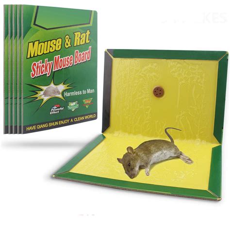 Buy HEMIUA Mouse Trap Rat Mice Mouse Glue Traps Rat Traps Sticky