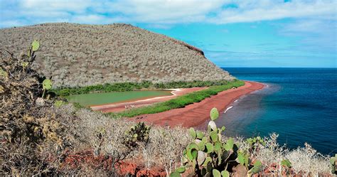 Best 5 Days Galapagos Tour Northern Galapagos Itinerary